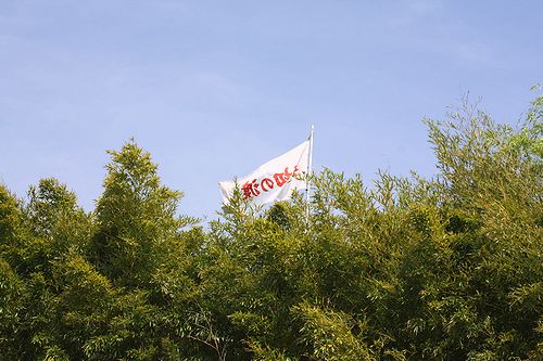 f0162319_9192770.jpg