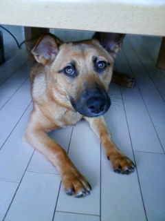 c0150520_221508.jpg
