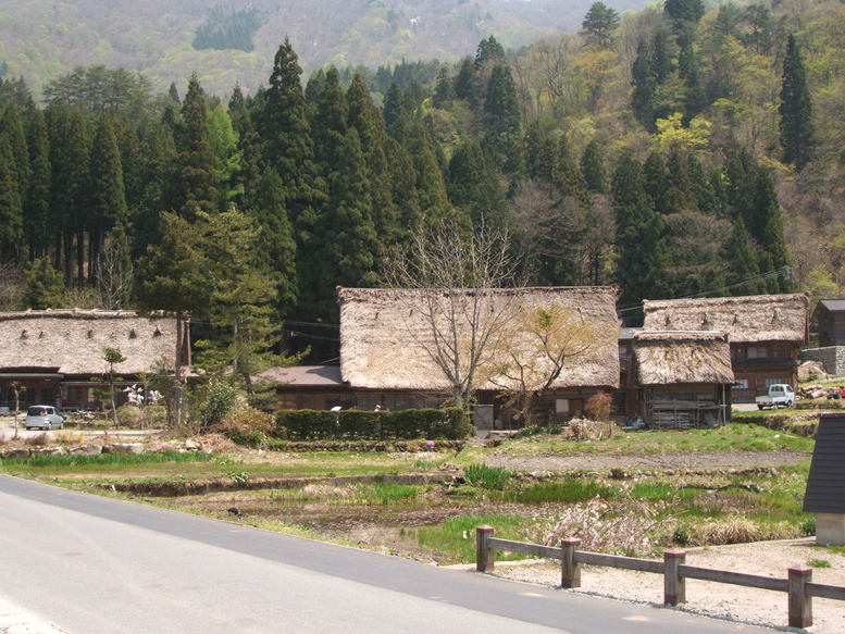 a0140224_0242071.jpg