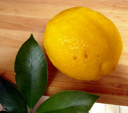 f0165224_22375037.jpg