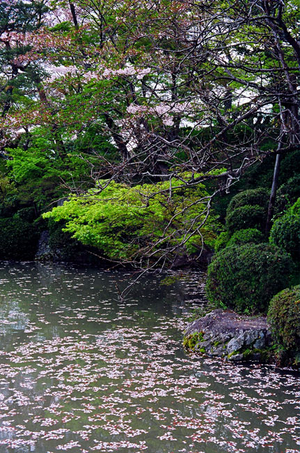 Kiyomizu_a0145825_21333421.jpg