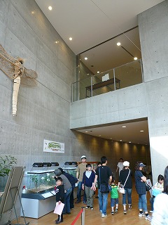 建築探訪 ぐんま昆虫の森_a0130926_152375.jpg