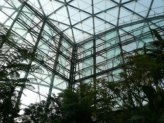 建築探訪 ぐんま昆虫の森_a0130926_1525014.jpg