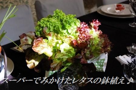 スモークサーモンのピリ辛ごまたっぷり刺身風丼 & お教室中継_d0104926_4171399.jpg
