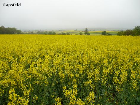 d0144726_23525261.jpg