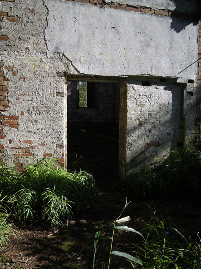 c0182231_11292879.jpg