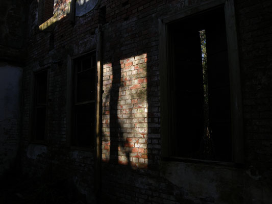 c0182231_11312423.jpg