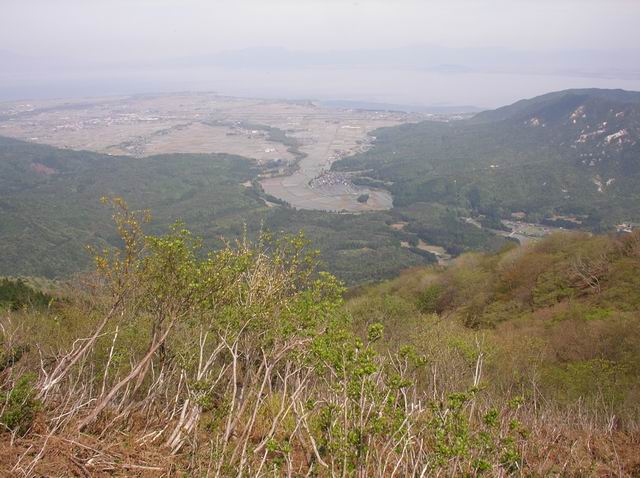 c0029332_2016412.jpg