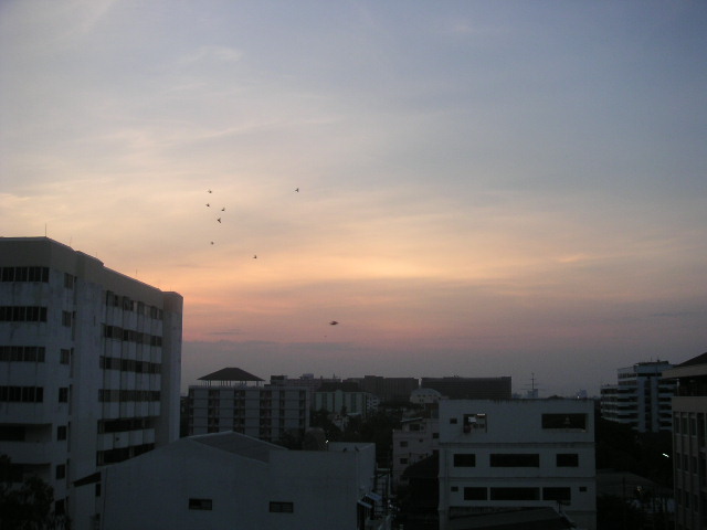 c0127933_9594476.jpg