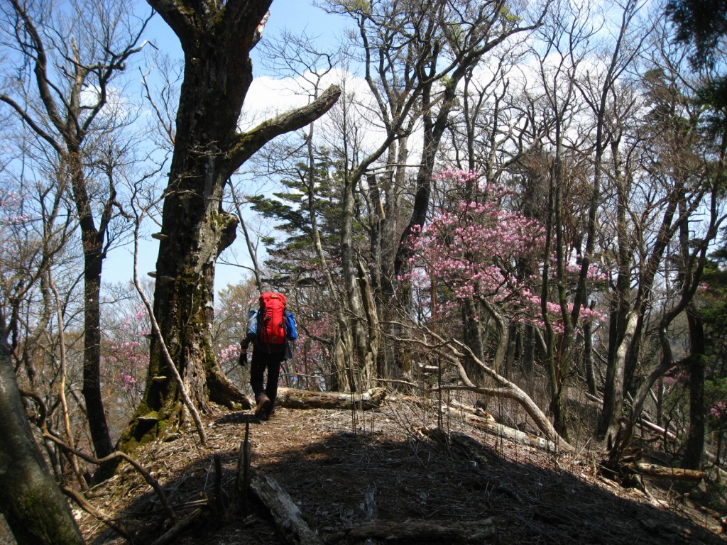 大崩山系縦走_f0039234_12522896.jpg