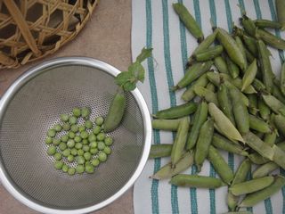 和歌山から届いた豆_e0134337_1328032.jpg