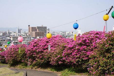 つつじ 椎宮神社 徳島市 とくしま応援プロジェクト つつじ 椎宮神社 徳島市 とくしま応援プロジェクト