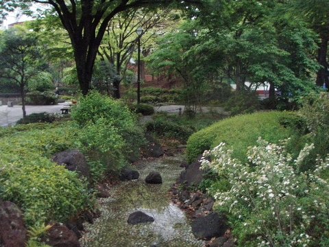 五月雨や　仕事帰りに　マッサージ　【季語：五月雨】_c0012640_2036645.jpg