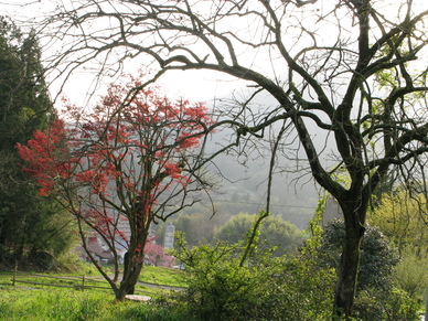 d0095541_8183990.jpg