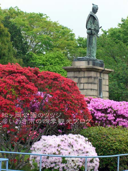 5月11日　高蔵寺のシャガと松ヶ岡公園のツツジ_f0105342_1236378.jpg