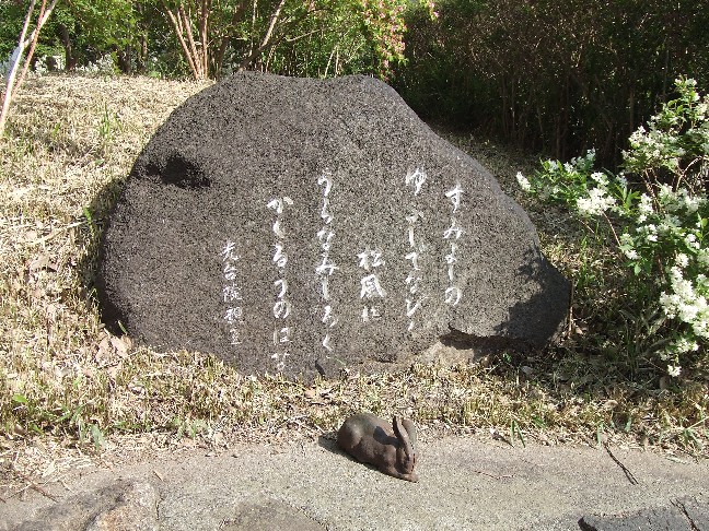 Deutzia Garden of Sumiyoshi Shrine is open now_e0046748_15192029.jpg