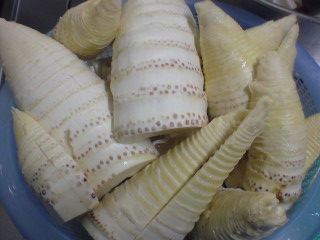 f0226953_17381541.jpg