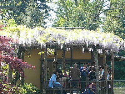 c0089360_23571576.jpg