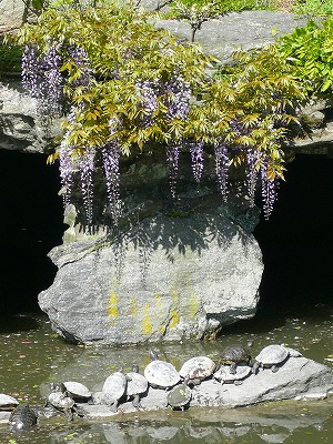 c0089360_23582290.jpg