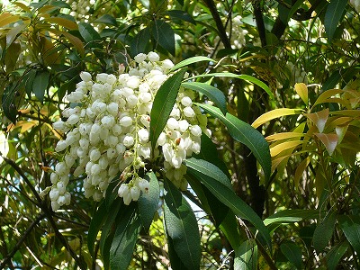 c0089360_2358540.jpg