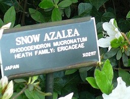 c0089360_2359166.jpg