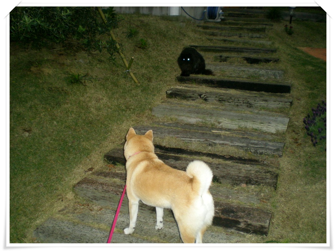 2010年5月11日(火)こころちゃんの覗き見!_f0060461_93525.jpg