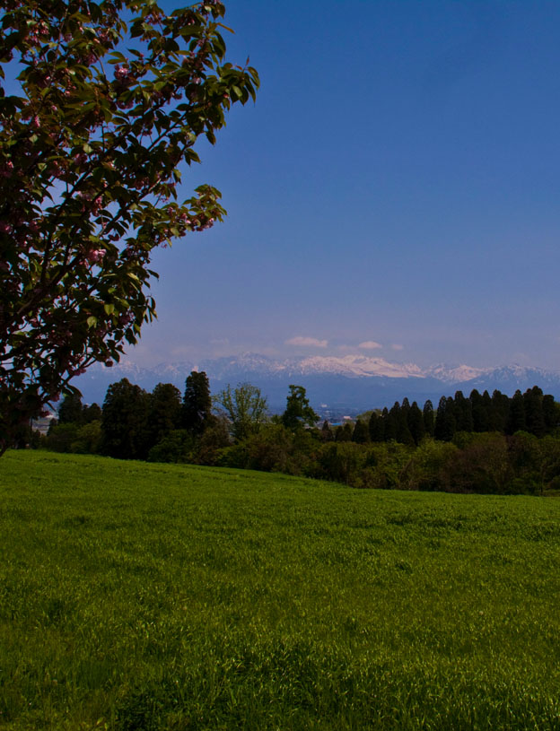 e0188168_1002423.jpg