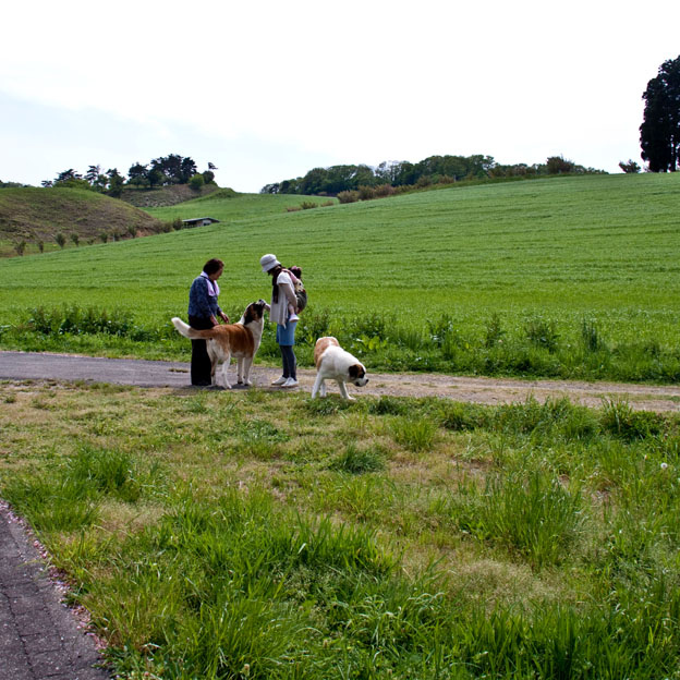 e0188168_1016532.jpg