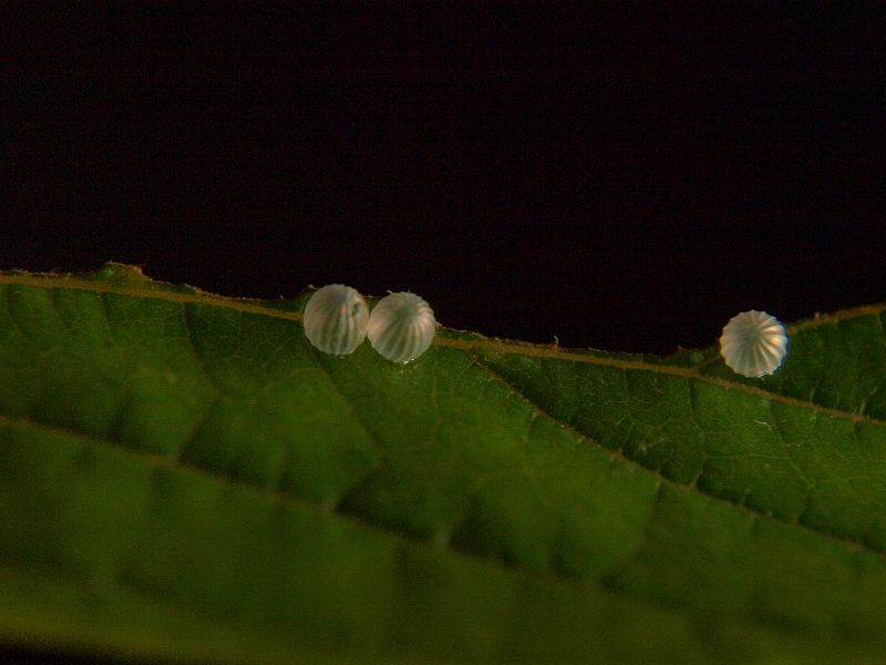 b0135573_23171238.jpg