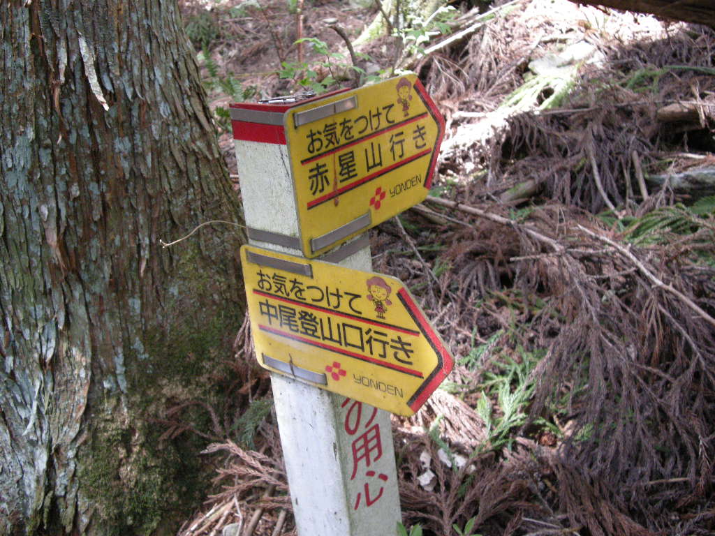 b0185573_8473522.jpg