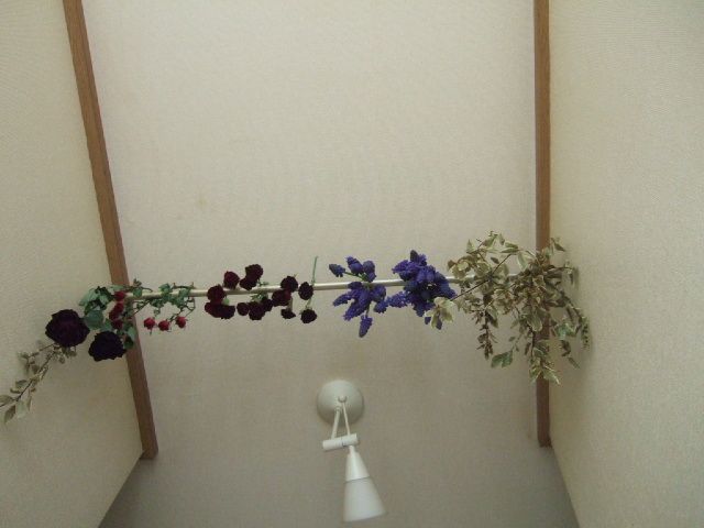 a0111280_1685625.jpg