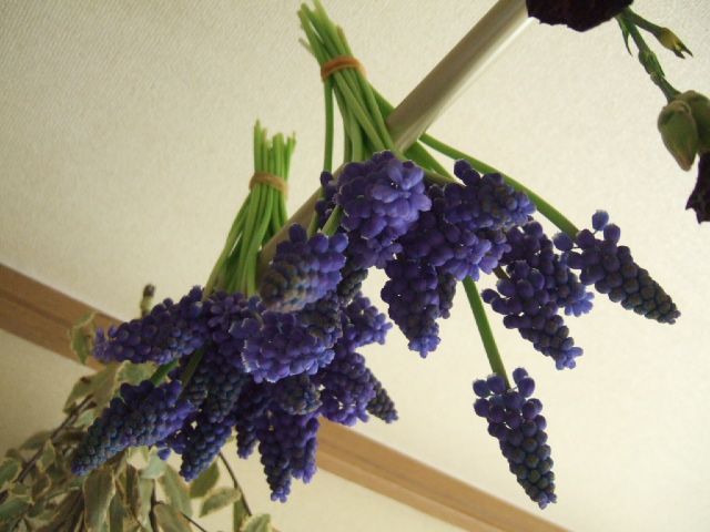 a0111280_16992.jpg