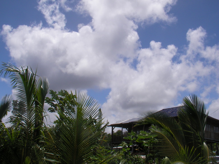 d0154980_8575094.jpg
