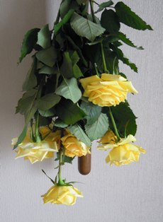 c0099182_8141145.jpg