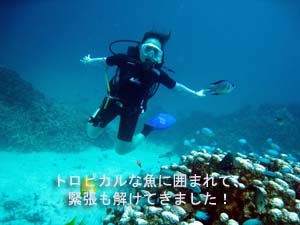 ラチャノイブルーの季節がやってきた?_f0144385_2211413.jpg