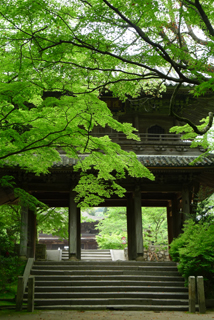 長府 功山寺_b0142989_16231657.jpg