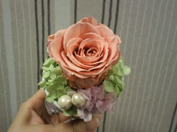 ありがとうございました!_a0107193_1002346.jpg