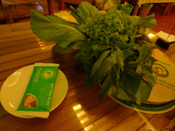 a0118993_1704624.jpg