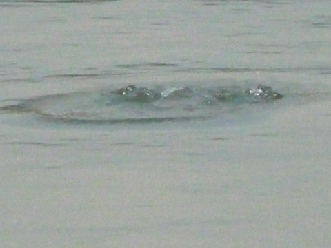 c0108693_22472884.jpg
