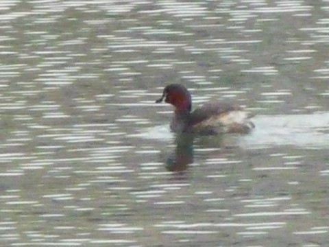 c0108693_22485060.jpg