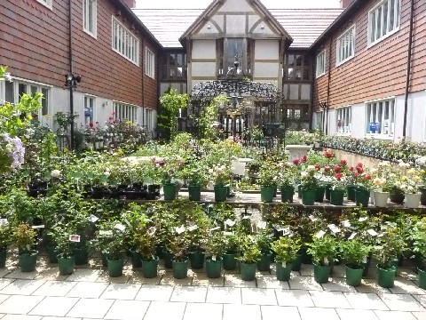 c0108693_2250519.jpg