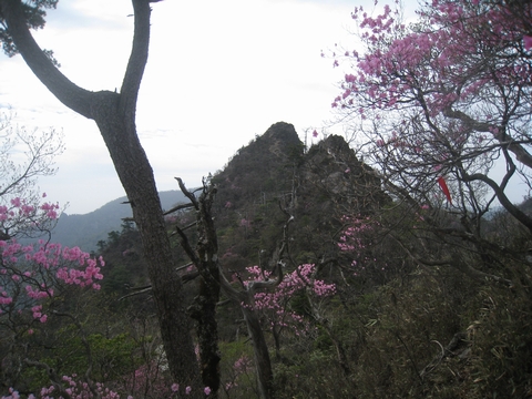 a0166196_13571037.jpg