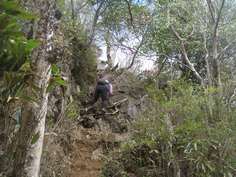 a0166196_13582430.jpg