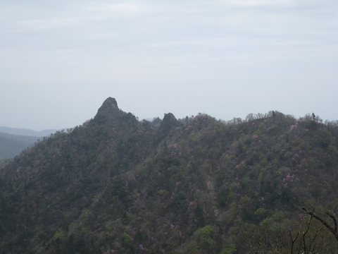 a0166196_14134530.jpg