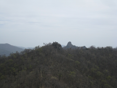 a0166196_1417676.jpg