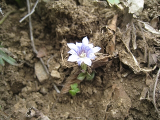 a0166196_14234650.jpg