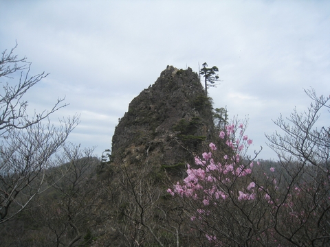 a0166196_1425247.jpg