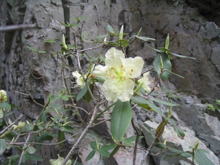 a0166196_14261567.jpg