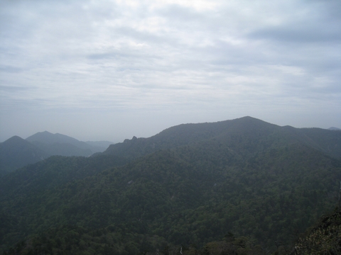 a0166196_147385.jpg