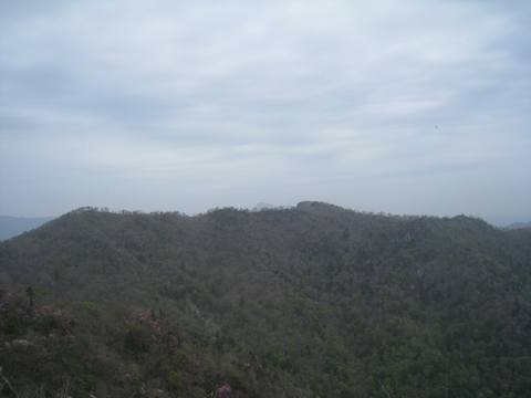 a0166196_1475382.jpg